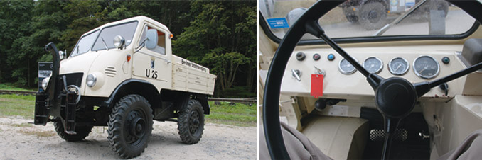 fot. D. Piernikarski