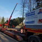 Załadunek i zabezpieczenie choinki na naczepie Faymonville VarioMAX (fot. Ol-trans)
