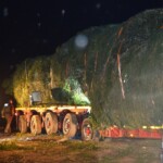 Zmniejszenie średnicy świerku w najszerszym miejscu z 9m do 4m (fot. Ol-trans)