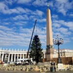 Po pokonaniu ponad 2650 km świerk dotarł na plac Św. Piotra w Rzymie (fot. Ol-trans)