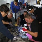 Fot. Ostaszewski Team