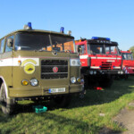 fot. Piotr Biskupski